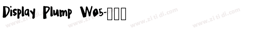 Display Plump W05字体转换